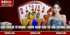 Luật chơi xì tố