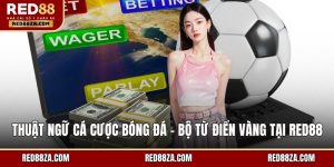 Thuật ngữ cá cược bóng đá