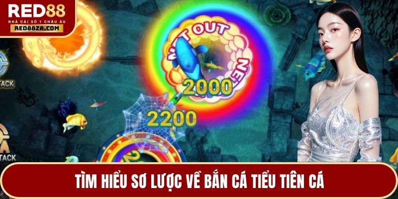 Tìm hiểu sơ lược về bắn cá tiểu tiên cá